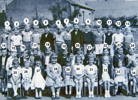 Index 1956 Seniors